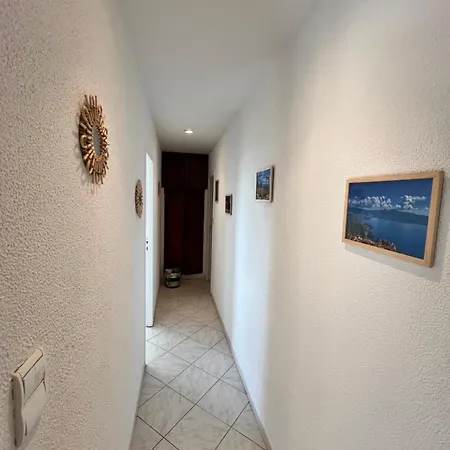 Villa Vue Avec Piscine Et Jardin Arbore Coggia