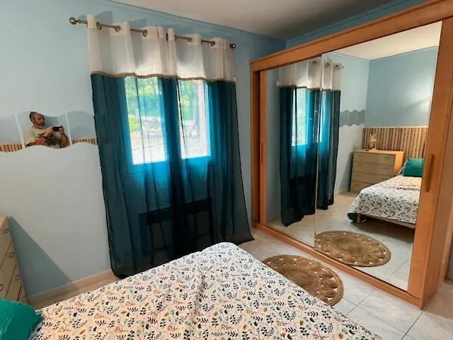 Vue Avec Piscine Et Jardin Arboré Coggia