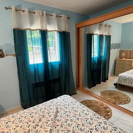 Vue Avec Piscine Et Jardin Arbore Coggia