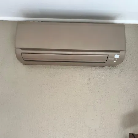 Vue Avec Piscine Et Jardin Arbore *