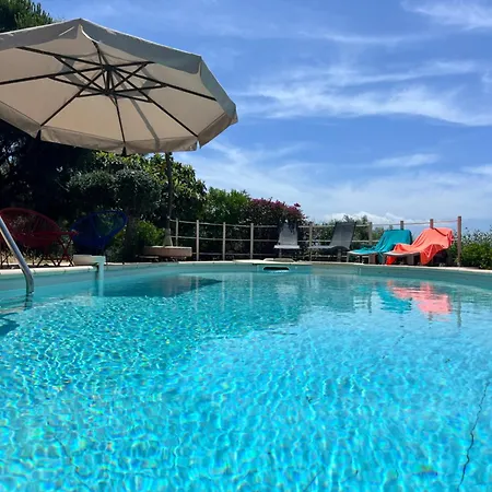 Vue Avec Piscine Et Jardin Arbore