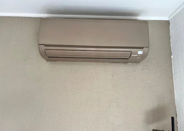 Vue Avec Piscine Et Jardin Arbore *