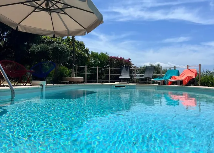 Vue Avec Piscine Et Jardin Arbore