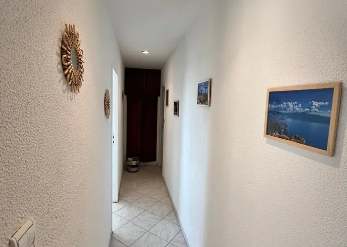 Villa Vue Avec Piscine Et Jardin Arbore Coggia