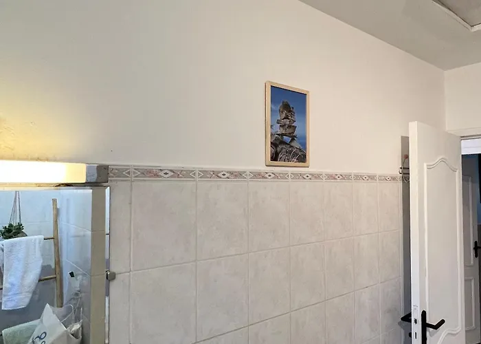 Vue Avec Piscine Et Jardin Arbore Villa